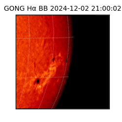 gong - 2024-12-02T21:00:02