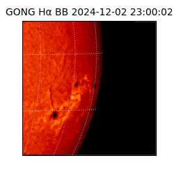 gong - 2024-12-02T23:00:02