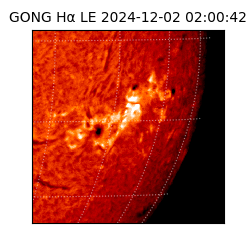 gong - 2024-12-02T02:00:42