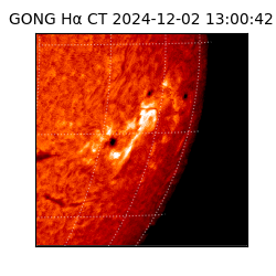 gong - 2024-12-02T13:00:42