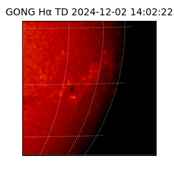gong - 2024-12-02T14:02:22