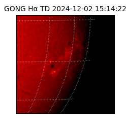 gong - 2024-12-02T15:14:22