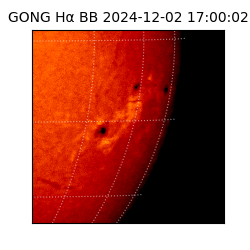 gong - 2024-12-02T17:00:02