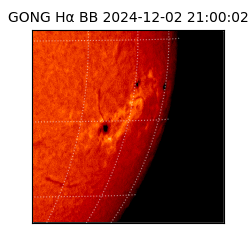 gong - 2024-12-02T21:00:02