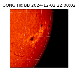 gong - 2024-12-02T22:00:02