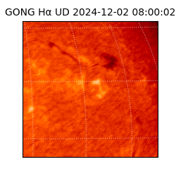 gong - 2024-12-02T08:00:02