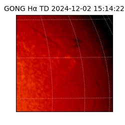 gong - 2024-12-02T15:14:22