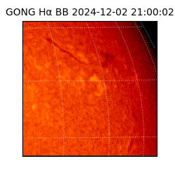 gong - 2024-12-02T21:00:02