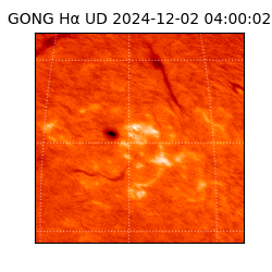 gong - 2024-12-02T04:00:02