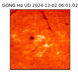 gong - 2024-12-02T06:01:02