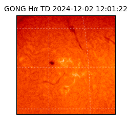 gong - 2024-12-02T12:01:22