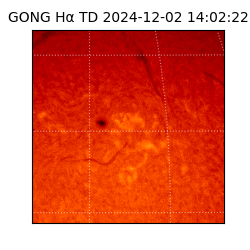 gong - 2024-12-02T14:02:22