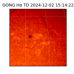 gong - 2024-12-02T15:14:22