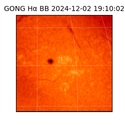 gong - 2024-12-02T19:10:02