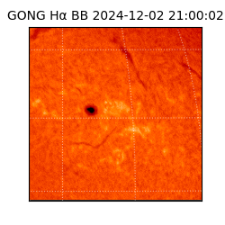 gong - 2024-12-02T21:00:02