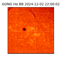 gong - 2024-12-02T22:00:02