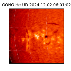 gong - 2024-12-02T06:01:02