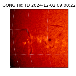 gong - 2024-12-02T09:00:22