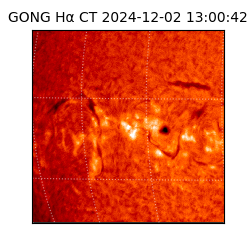 gong - 2024-12-02T13:00:42