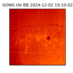 gong - 2024-12-02T19:10:02