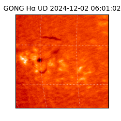 gong - 2024-12-02T06:01:02