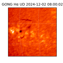 gong - 2024-12-02T08:00:02