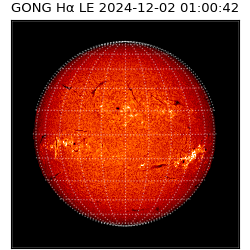 gong - 2024-12-02T01:00:42