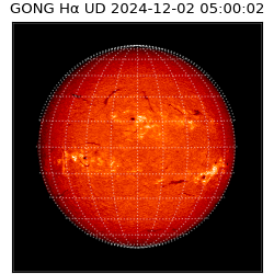 gong - 2024-12-02T05:00:02