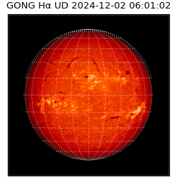 gong - 2024-12-02T06:01:02