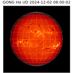 gong - 2024-12-02T08:00:02