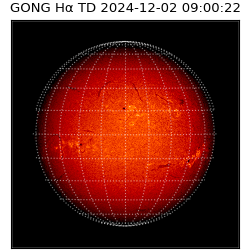 gong - 2024-12-02T09:00:22