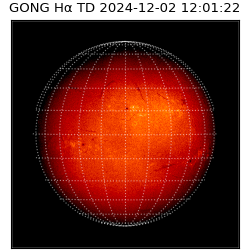 gong - 2024-12-02T12:01:22