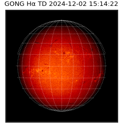 gong - 2024-12-02T15:14:22