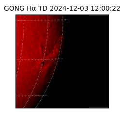 gong - 2024-12-03T12:00:22