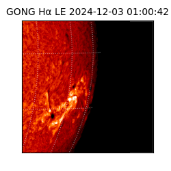 gong - 2024-12-03T01:00:42