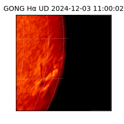 gong - 2024-12-03T11:00:02