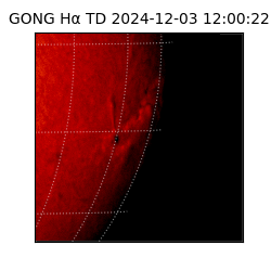 gong - 2024-12-03T12:00:22