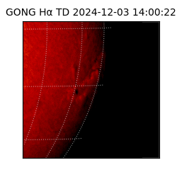 gong - 2024-12-03T14:00:22