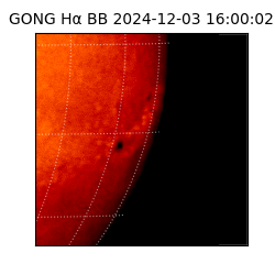 gong - 2024-12-03T16:00:02