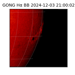 gong - 2024-12-03T21:00:02