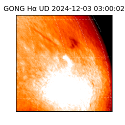 gong - 2024-12-03T03:00:02