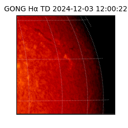 gong - 2024-12-03T12:00:22