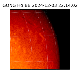 gong - 2024-12-03T22:14:02