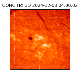 gong - 2024-12-03T04:00:02