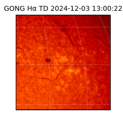 gong - 2024-12-03T13:00:22