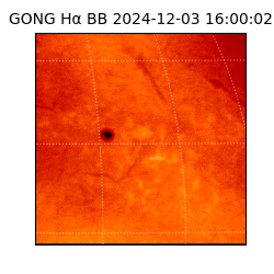 gong - 2024-12-03T16:00:02