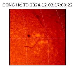 gong - 2024-12-03T17:00:22