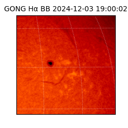 gong - 2024-12-03T19:00:02