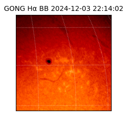 gong - 2024-12-03T22:14:02