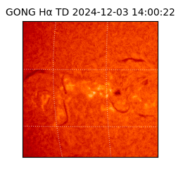 gong - 2024-12-03T14:00:22